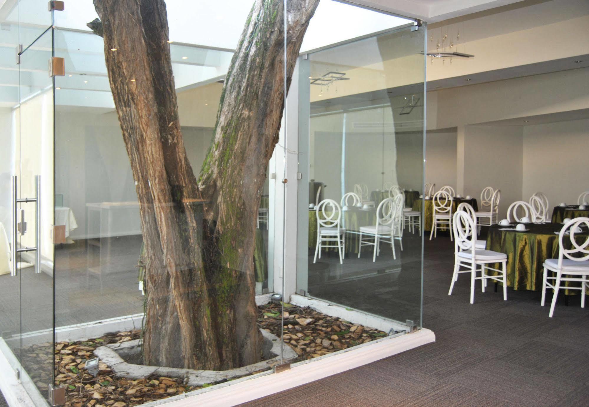 Hotel Los Andes ซานเปโดร ซูลา ภายนอก รูปภาพ
